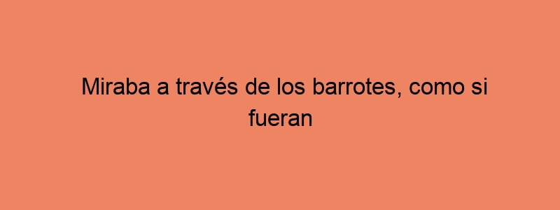 Miraba A Través De Los Barrotes, Como Si Fueran La Pantalla De Un Zoológico Donde Los Humanos Siempre Hacían Las Cosas Más Inesperadas.